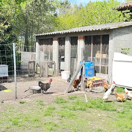 Le Potager De Melanie
