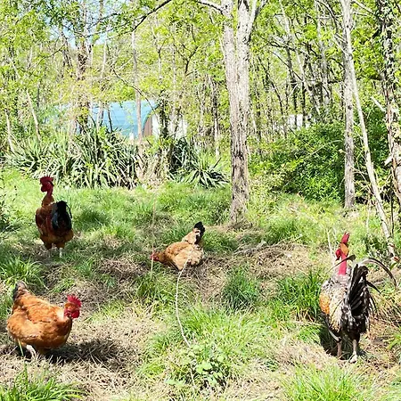Le Potager De Melanie * Gaillères
