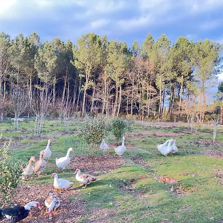 Le Potager De Melanie *
