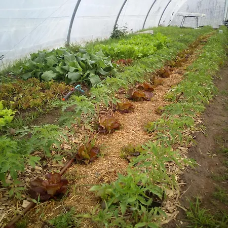 Le Potager De Melanie Nyaraló *