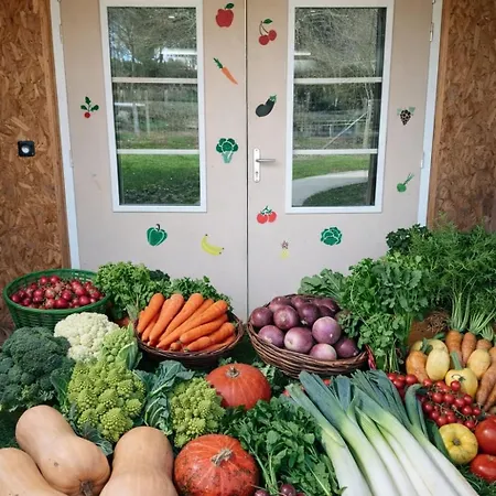 Le Potager De Melanie
