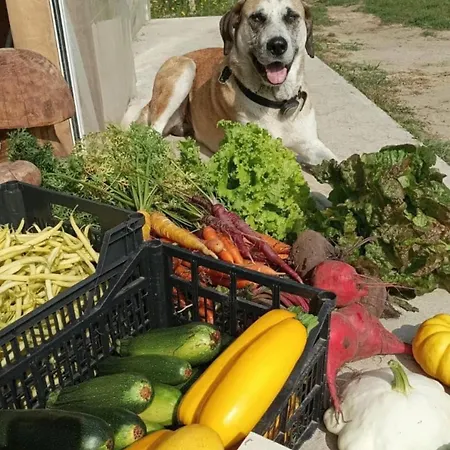 Le Potager De Melanie *