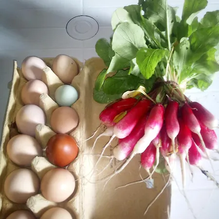 Nyaraló Le Potager De Melanie *